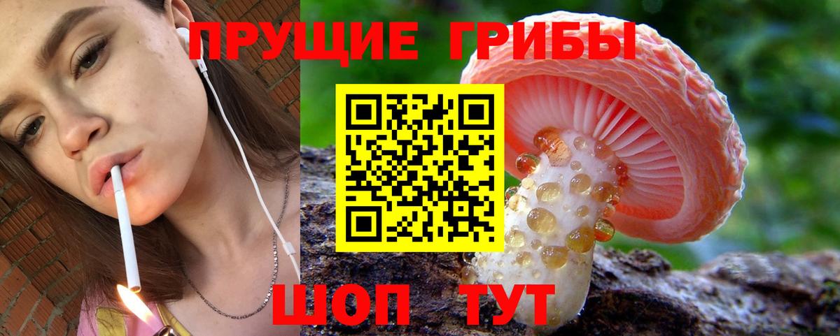 Псилоцибиновые грибы GOLDEN TEACHER  Вход с VPN  дарнет шоп  Мытищи  Галлюциногенные грибы мицелий 