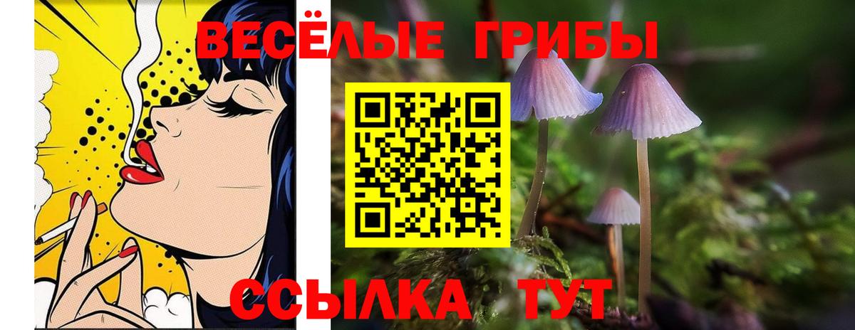 Галлюциногенные грибы Magic Shrooms Мытищи
